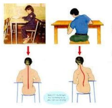 Lý thuyết Sinh học lớp 8 bài 11: Tiến hóa của hệ vận động