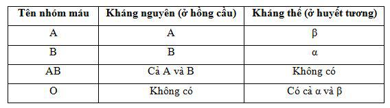 Lý thuyết Sinh học lớp 8 bài 15: Đông máu và nguyên tắc truyền máu