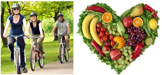 Lý thuyết Sinh học lớp 8 bài 18: Vận chuyển máu qua hệ mạch. Vệ sinh hệ tuần hoàn