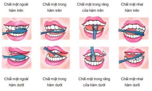 Lý thuyết Sinh học lớp 8 bài 30: Vệ sinh tiêu hóa