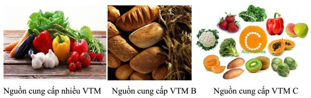 Lý thuyết Sinh học lớp 8 bài 34: Vitamin và muối khoáng