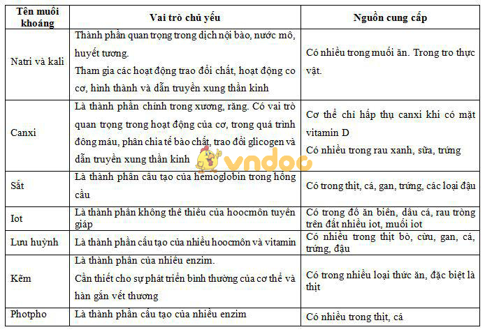 Lý thuyết Sinh học lớp 8 bài 34: Vitamin và muối khoáng