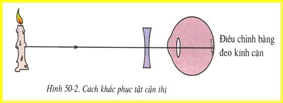 Lý thuyết Sinh học lớp 8 bài 50: Vệ sinh mắt