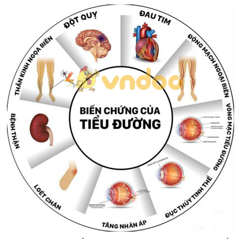 Lý thuyết Sinh học lớp 8 bài 57: Tuyến tụy và tuyến trên thận