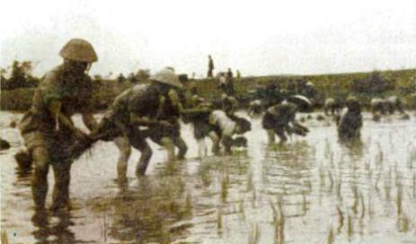 Giải Vở bài tập Lịch sử lớp 5 bài 16