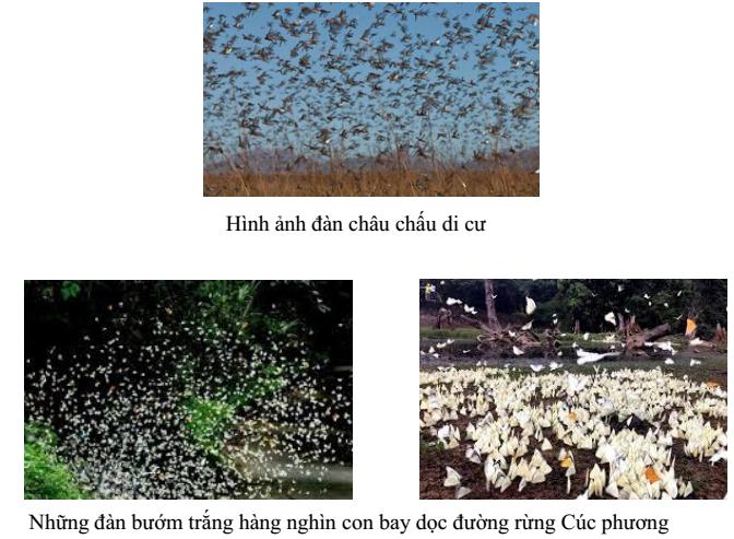 Lý thuyết Sinh học lớp 7 bài 1: Thế giới động vật đa dạng và phong phú