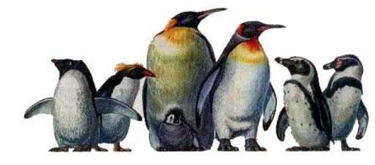 Lý thuyết Sinh học lớp 7 bài 1: Thế giới động vật đa dạng và phong phú