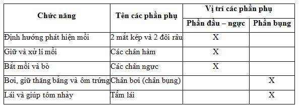 Lý thuyết Sinh học lớp 7 bài 22: Tôm sông