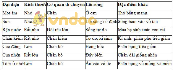 Lý thuyết Sinh học lớp 7 bài 24: Đa dạng và vai trò của lớp Giáp xác