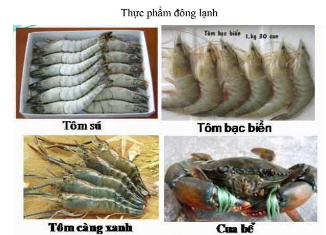 Lý thuyết Sinh học lớp 7 bài 24: Đa dạng và vai trò của lớp Giáp xác