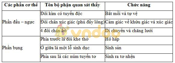 Lý thuyết Sinh học lớp 7 bài 25: Nhện và sự đa dạng của lớp hình nhện