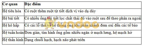 Lý thuyết Sinh học lớp 7 bài 26: Châu chấu