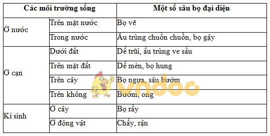 Lý thuyết Sinh học lớp 7 bài 27: Đa dạng và đặc điểm chung của lớp Sâu bọ