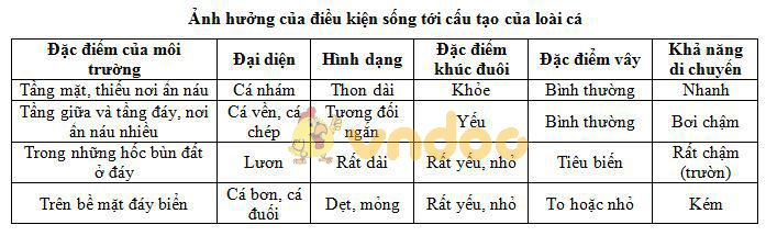 Lý thuyết Sinh học lớp 7 bài 34: Đa dạng và đặc điểm chung của các lớp Cá