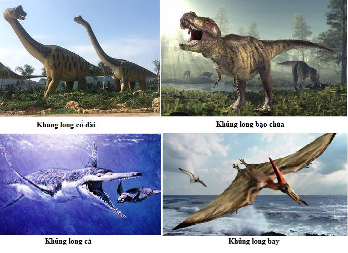 Lý thuyết Sinh học lớp 7 bài 40: Đa dạng và đặc điểm chung của lớp Bò sát