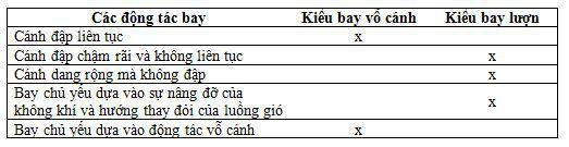 Lý thuyết Sinh học lớp 7 bài 41: Chim bồ câu
