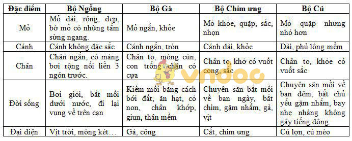 Lý thuyết Sinh học lớp 7 bài 44: Đa dạng và đặc điểm chung của lớp chim