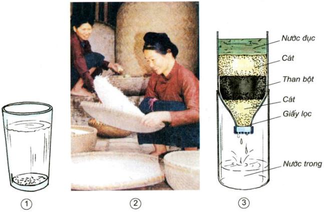 Giải Vở bài tập Khoa học lớp 5 bài 36