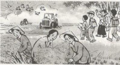 Luyện từ và câu: Chủ ngữ trong câu kể Ai làm gì?