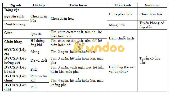 Lý thuyết Sinh học lớp 7 bài 54: Tiến hóa về tổ chức cơ thể