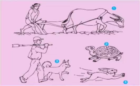 Lý thuyết Tiếng Việt 2 bài 70