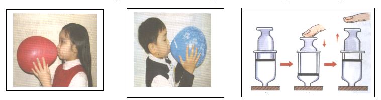 Đề thi học kì 1 môn Khoa học lớp 4