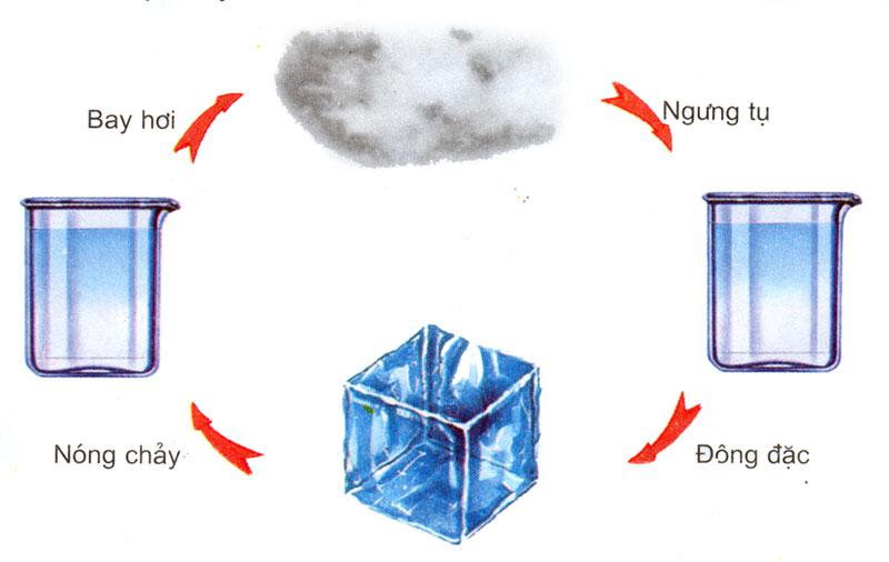 Đề thi học kì 1 môn Khoa học lớp 4