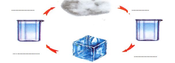 Đề thi học kì 1 môn Khoa học lớp 4