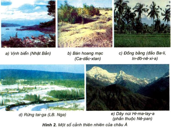 Giải Vở bài tập Địa lý lớp 5 bài 17