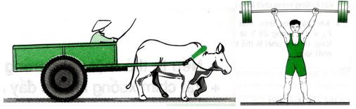 Lý thuyết Vật lý lớp 8 bài 13: Công cơ học