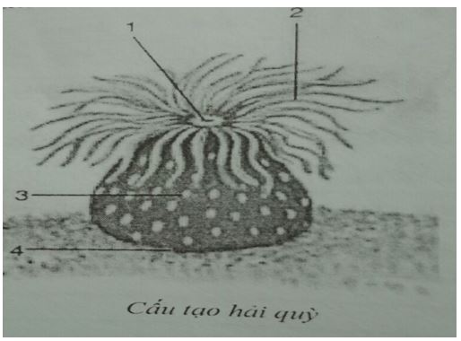 Đề thi học kì 1 Sinh học 7