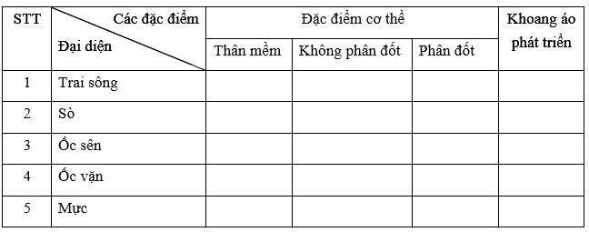 Đề thi học kì 1 Sinh học 7