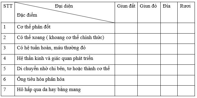 Đề thi học kì 1 Sinh học 7