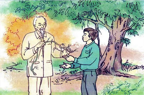 Tập đọc: Chiếc rễ đa tròn