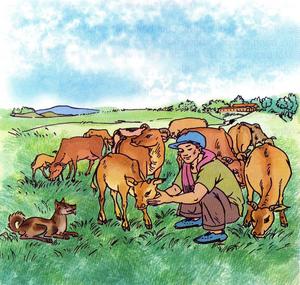 Tập đọc Đàn bê của anh Hồ Giáo