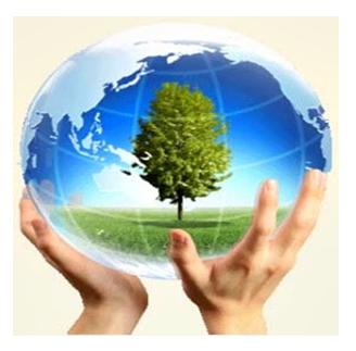 Giải Vở bài tập Khoa học lớp 4 bài 40