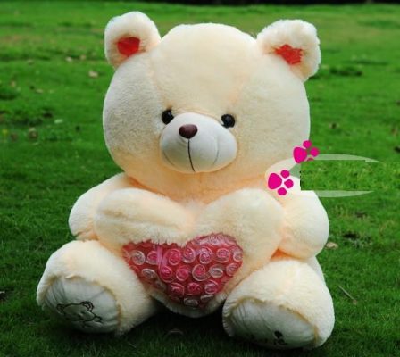 Tả con gấu bông mà em yêu thích