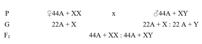 Chuyên đề Sinh học 9