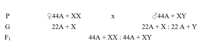 Chuyên đề Sinh học 9
