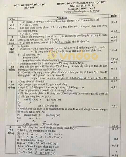 Đề thi học kì 1 lớp 9 môn Sinh học Sở GD&ĐT Bến Tre năm học 2018 - 2019