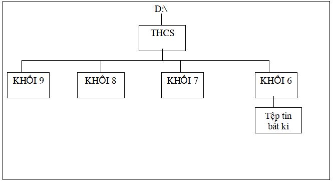 Đề thi tin học lớp 6