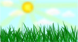 Đề kiểm tra Tiếng Anh lớp 4 học kì 1 có đáp án