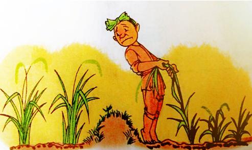 Tập làm văn: Kéo cây lúa lên. Nghe kể nói về thành thị và nông thôn