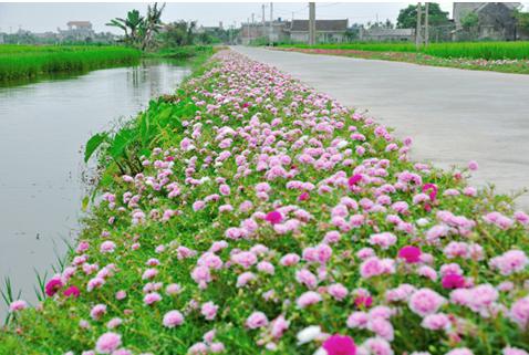 Lý thuyết Tiếng Việt lớp 3: Tập làm văn