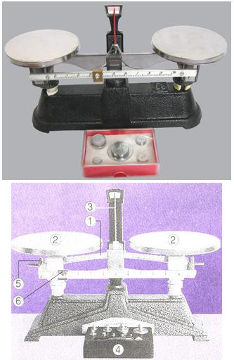 Lý thuyết Vật lý lớp 6 bài 5