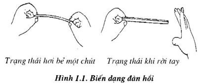 Lý thuyết Vật lý lớp 6 bài 9