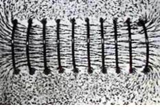 Lý thuyết Vật lý lớp 9 bài 24: Từ trường của ống dây có dòng điện chạy qua