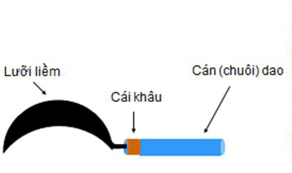 Lý thuyết Vật lý lớp 6 bài 18