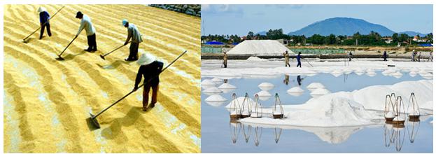 Lý thuyết Vật lý lớp 9 bài 56: Các tác dụng của ánh sáng