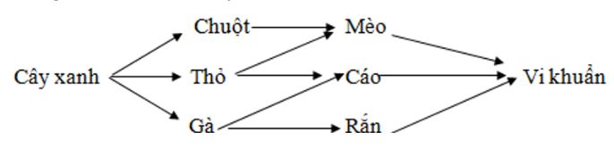 Trắc nghiệm Sinh học 9